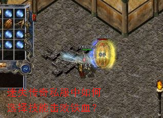 ��ʧ����˽�������ѡ���ܻ�����Ѫ��