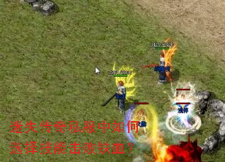 ��ʧ����˽�������ѡ���ܻ�����Ѫ��