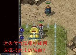 ��ʧ����˽�������ѡ���ܻ�����Ѫ��