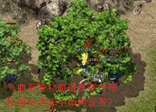 气血石等补血道具在传奇私服数据库中如何设置? 气血石等补血道具在传奇私服数据库中如何设置?