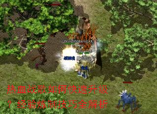 热血战歌如何快速升级?经验炼制技巧全解析 热血战歌如何快速升级?经验炼制技巧全解析