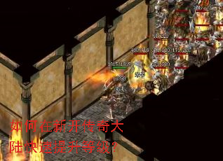 如何在新开传奇大陆快速提升等级? 如何在新开传奇大陆快速提升等级?