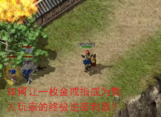 �����һö���ָ��Ϊɢ����ҵ��ռ���Ϯ������