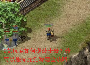 0���������Ϯ����������˽����Ԫ���ư�ȫ����