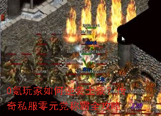 0���������Ϯ����������˽����Ԫ���ư�ȫ����