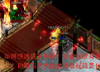 如何快速提升等级?装备获取有哪些技巧?称霸玛法大陆的终极秘籍是什么? 如何快速提升等级?装备获取有哪些技巧?称霸玛法大陆的终极秘籍是什么?