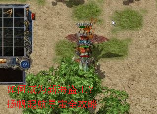 如何成为新海盗王?扬帆起航寻宝全攻略 如何成为新海盗王?扬帆起航寻宝全攻略