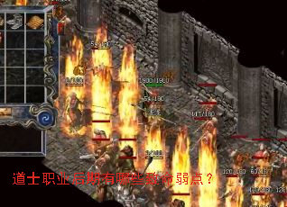 道士职业后期有哪些致命弱点? 道士职业后期有哪些致命弱点?