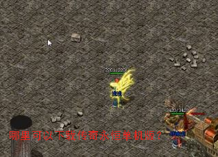 ����������ش������㵥���棿