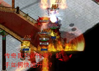 ������ֻ�ϴ��棿������ο���������