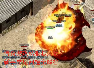 传奇游戏私服怎么玩?新手常见问题全解答 传奇游戏私服怎么玩?新手常见问题全解答