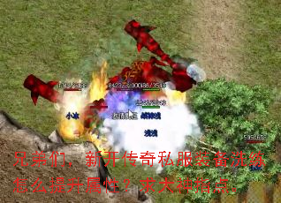 �ֵ��ǣ��¿�����˽��װ��ϴ����ô�������ԣ������ָ�㡣