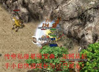 ����˽����ǿ���䣺��δ�����С�׿��ٳɳ�Ϊɳ�ͳ�����