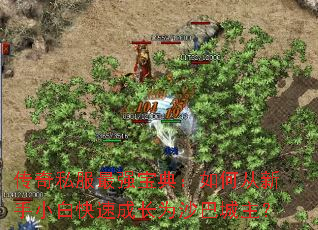 ����˽����ǿ���䣺��δ�����С�׿��ٳɳ�Ϊɳ�ͳ�����