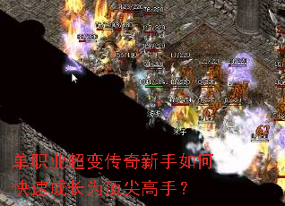 ��ְҵ���䴫��������ο��ٳɳ�Ϊ������֣�