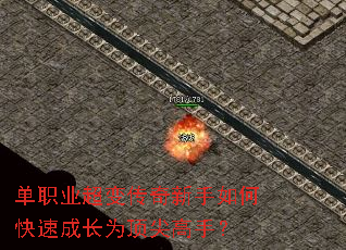 ��ְҵ���䴫��������ο��ٳɳ�Ϊ������֣�