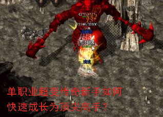 ��ְҵ���䴫��������ο��ٳɳ�Ϊ������֣�