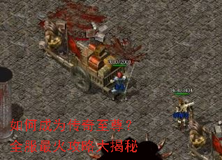 ��γ�Ϊ��������ȫ������Դ����