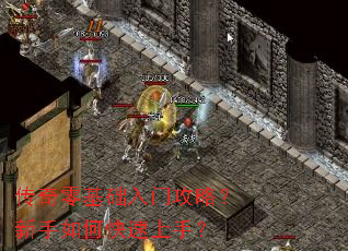 ������������Ź��ԣ�������ο������֣�