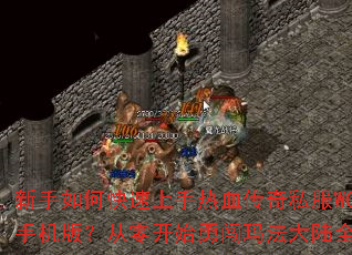 ������ο���������Ѫ����˽��WCL�ֻ��棿���㿪ʼ�´��귨��½ȫ����