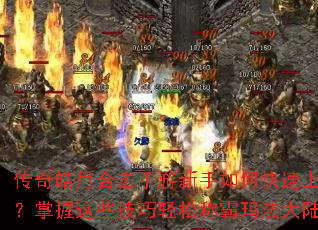 ������ºϻ�����������ο������֣�������Щ�������ɳư��귨��½