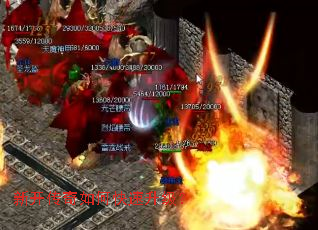 �¿�������ο���������