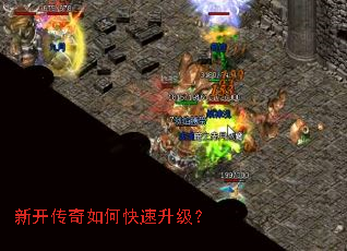 �¿�������ο���������