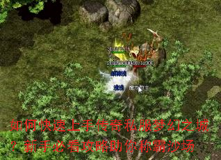 ��ο������ִ���˽���λ�֮�ǣ����ֱؿ���������ư�ɳ��