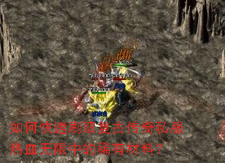 ��ο���ˢȡ���Ŵ���˽����Ѫ�����е�ϡ�в��ϣ�