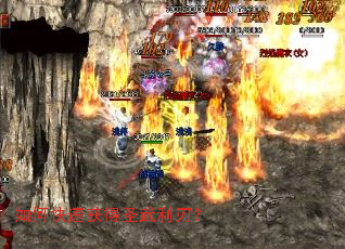 ��ο��ٻ��ʥ�����У�