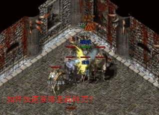 ��ο��ٻ��ʥ�����У�