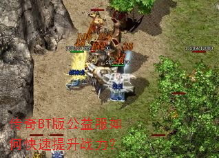 ����BT�湫�����ο�������ս����