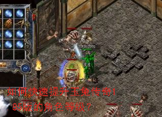 ��ο����������ô���1.85��Ľ�ɫ�ȼ���