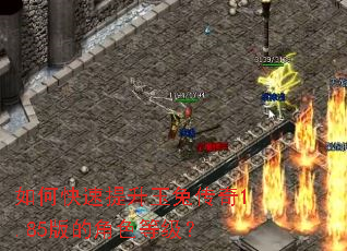 ��ο����������ô���1.85��Ľ�ɫ�ȼ���