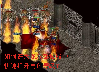如何在天龙八部私服中快速提升角色等级? 如何在天龙八部私服中快速提升角色等级?