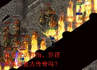 û�д��ͽ�ָ���㻹����ս���Ŵ�����