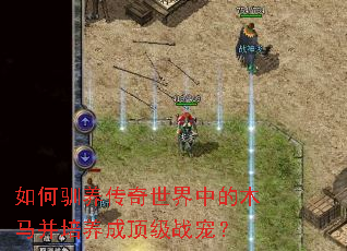 ���ѱ�����������е�ľ���������ɶ���ս�裿