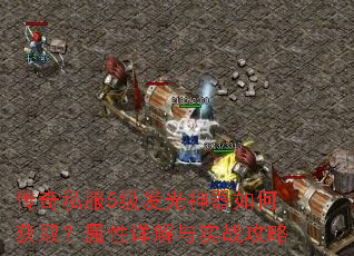 ����˽��5������������λ�ȡ�����������ʵս����