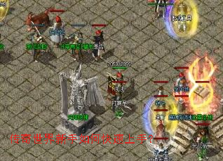 ��������������ο������֣�