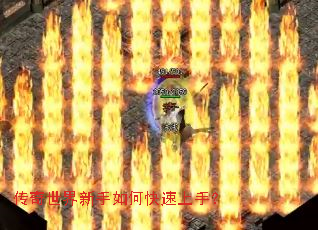 ��������������ο������֣�