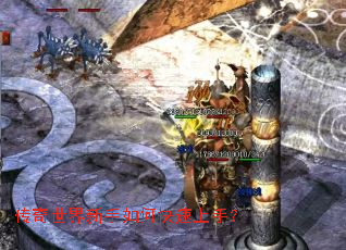 ��������������ο������֣�