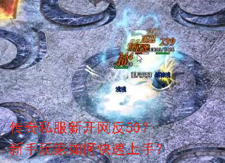 ����˽���¿�����50�����������ο������֣�