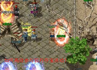 如何高效参与狐月夺宝活动? 如何高效参与狐月夺宝活动?