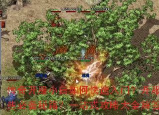 传奇开服小白如何快速入门?开服达人有哪些必备秘籍?一站式攻略大全解答所有疑问 传奇开服小白如何快速入门?开服达人有哪些必备秘籍?一站式攻略大全解答所有疑问