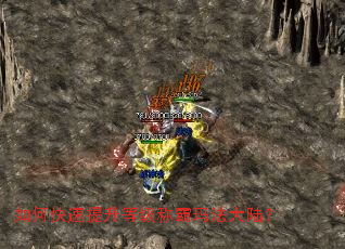 如何快速提升等级称霸玛法大陆? 如何快速提升等级称霸玛法大陆?