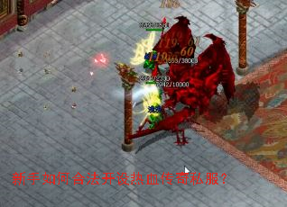 ������κϷ�������Ѫ����˽����