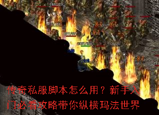 ����˽���ű���ô�ã��������űؿ����Դ����ݺ��귨����