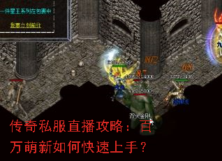 ����˽��ֱ�����ԣ�����������ο������֣�