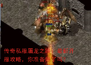 ����˽������֮·�����¿������ԣ���׼��������