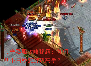 传奇私服攻略秘籍:如何从小白秒变游戏高手? 传奇私服攻略秘籍:如何从小白秒变游戏高手?